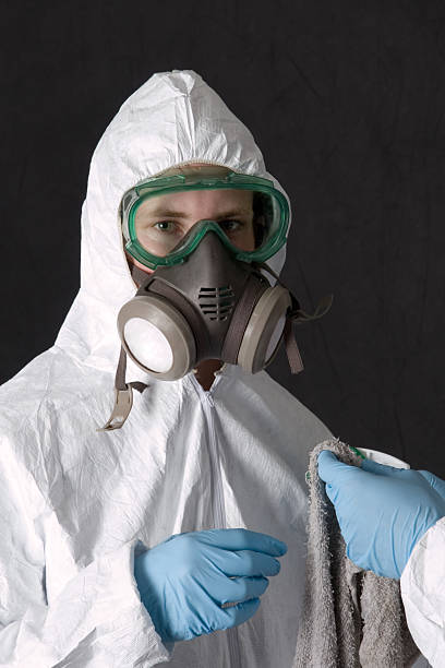 Trusted Commerce, OK Mold Removal Experts